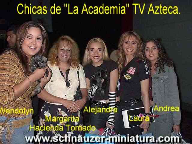 Margarita de Carrillo y las Chicas de la Academia con Schnauzers Miniatura del criadero Hacienda Tornado