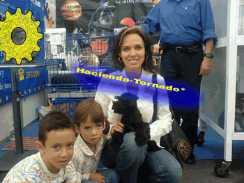 Te damos el trato especial para que adquieras tu Schnauzer Miniatura y los haga felices
