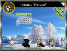 Obten Gratis!! el calendario del Schnauzer Miniatura...oprime aqu�!!