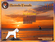 Obten Gratis!! el calendario del Schnauzer Miniatura...pincha aqu�!!