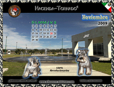 Obten Gratis!! el calendario del Schnauzer Miniatura...pincha aqu�!!