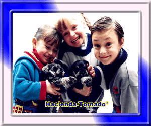 Ve directamente los hermosos cachorritos disponibles para adquirirlos ya...pincha aqu�!!